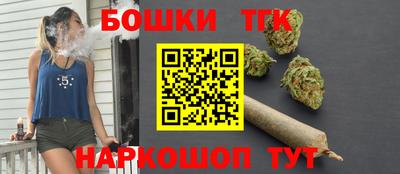 индика Будённовск