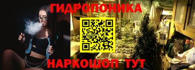 индика Будённовск