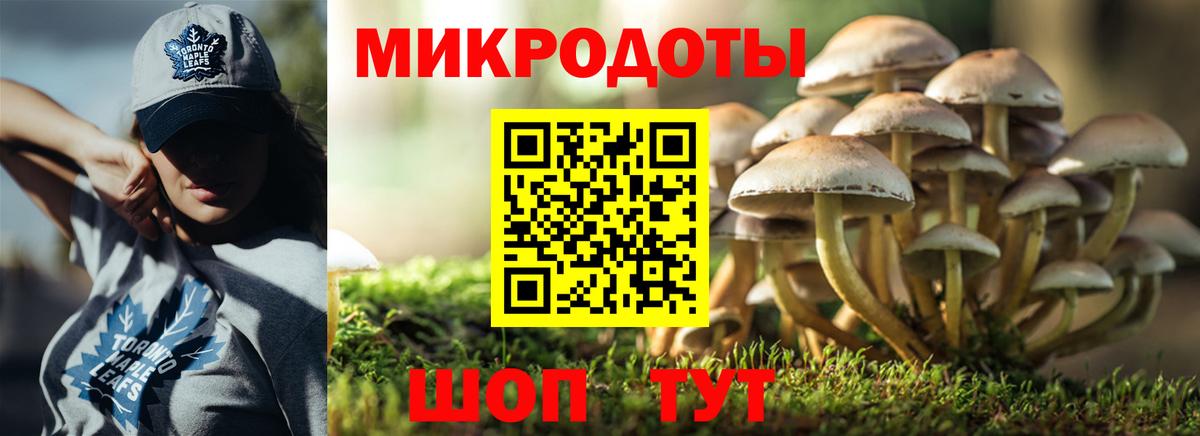 Галлюциногенные грибы мицелий Электрогорск